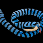 Plush Snake